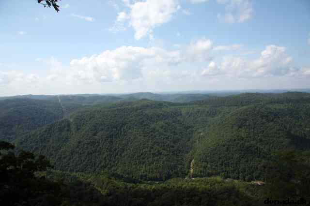 * Image 64