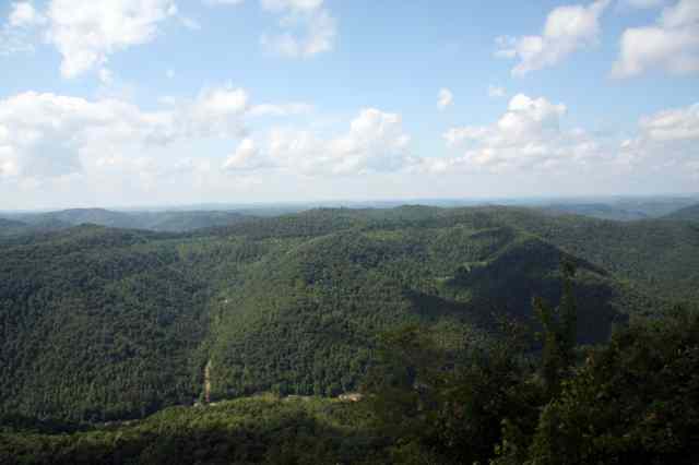 * Image 65