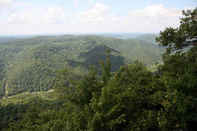* Image 67