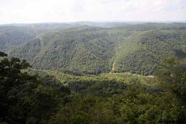 * Image 69