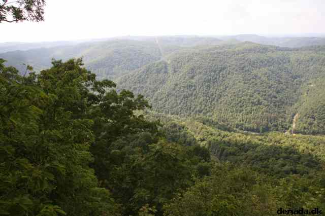 * Image 70