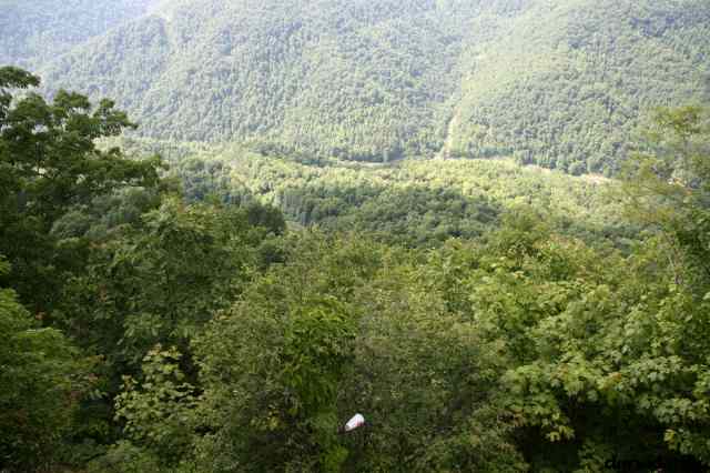 * Image 72