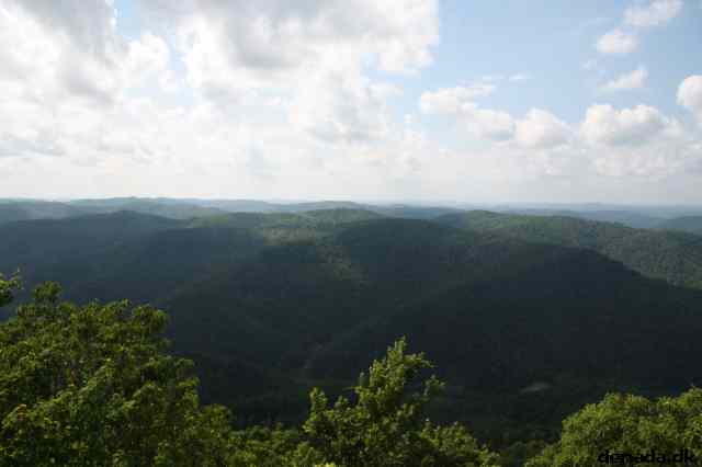 * Image 79