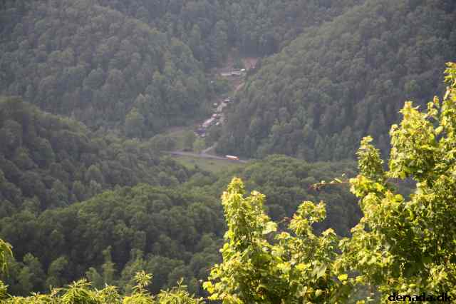 * Image 81