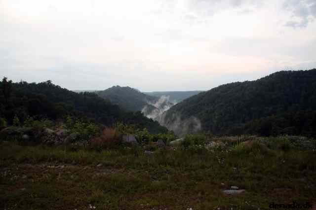 * Image 115