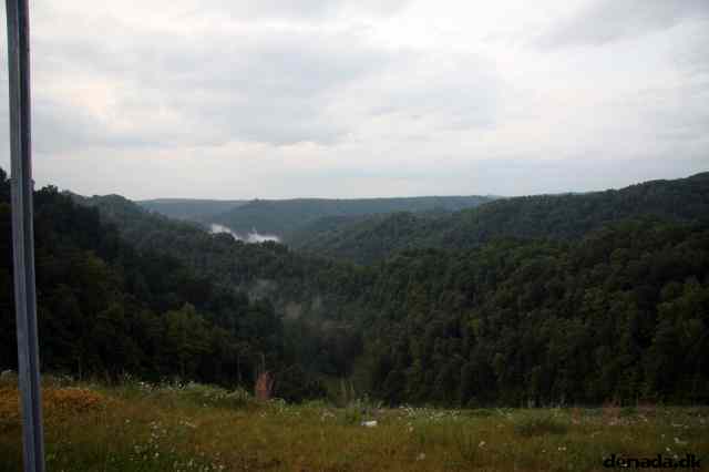 * Image 117