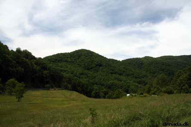 * Image 313