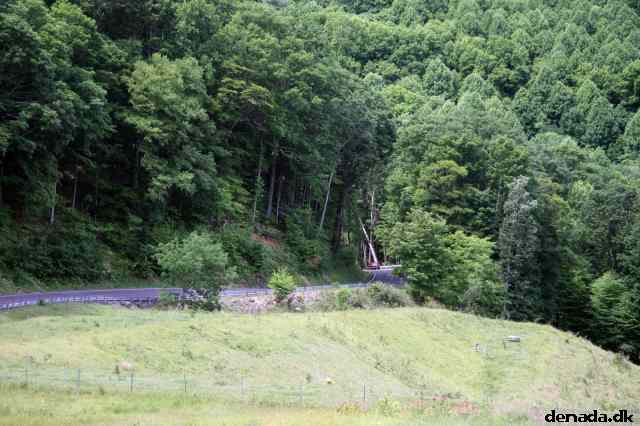 * Image 315