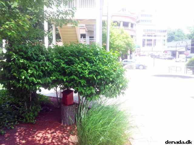 * Image 102