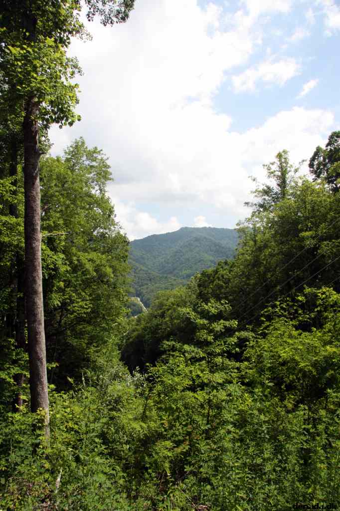 * Image 49