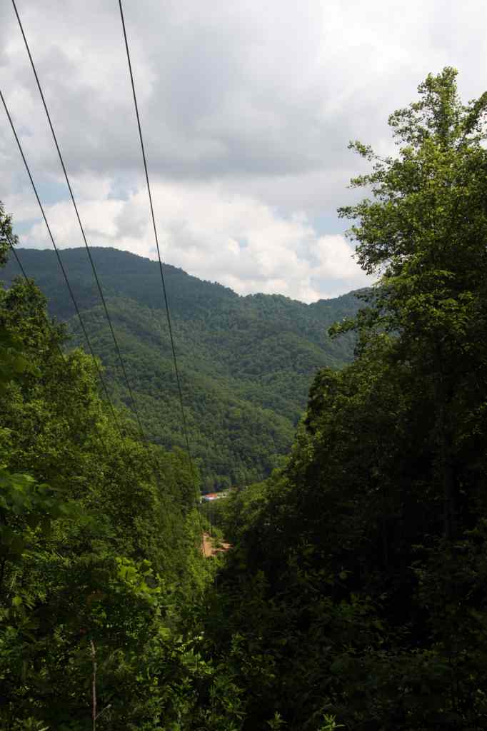 * Image 50