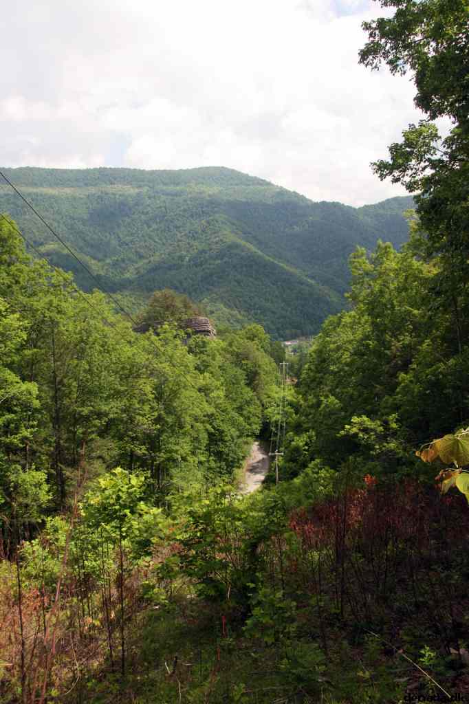 * Image 60