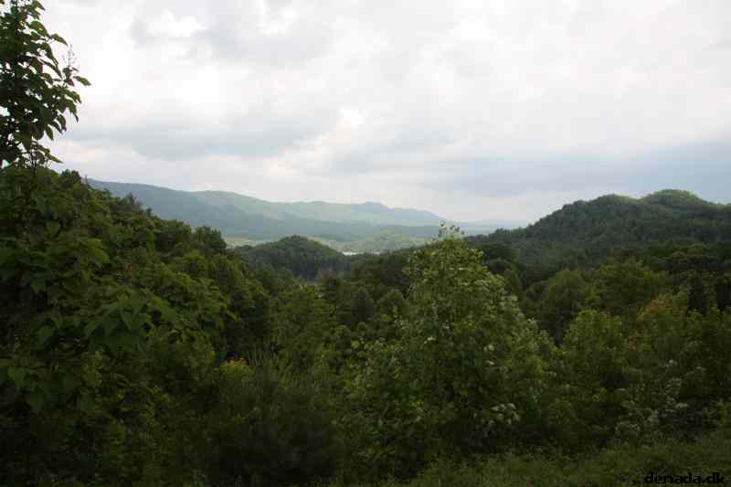 * Image 10