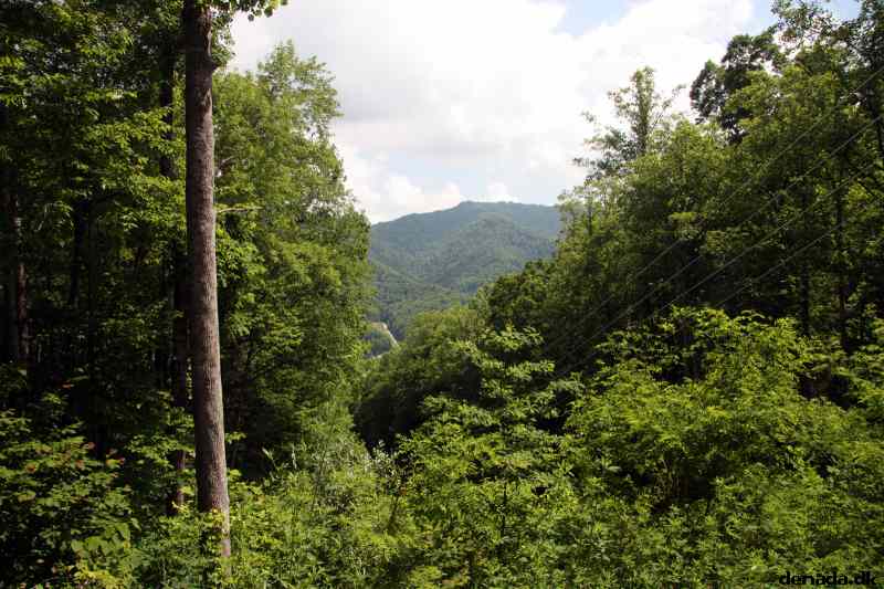 * Image 48