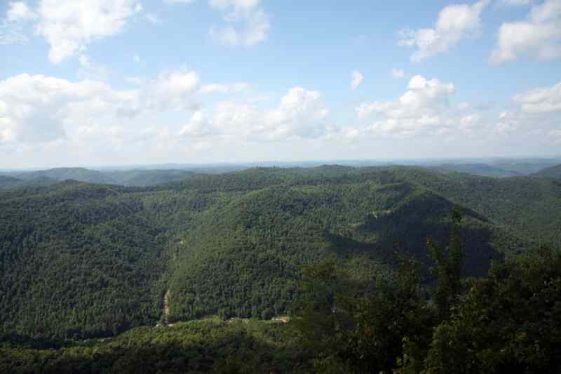 * Image 65