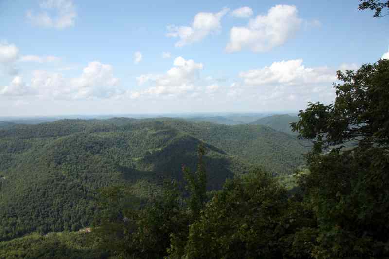 * Image 66