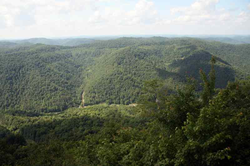 * Image 68
