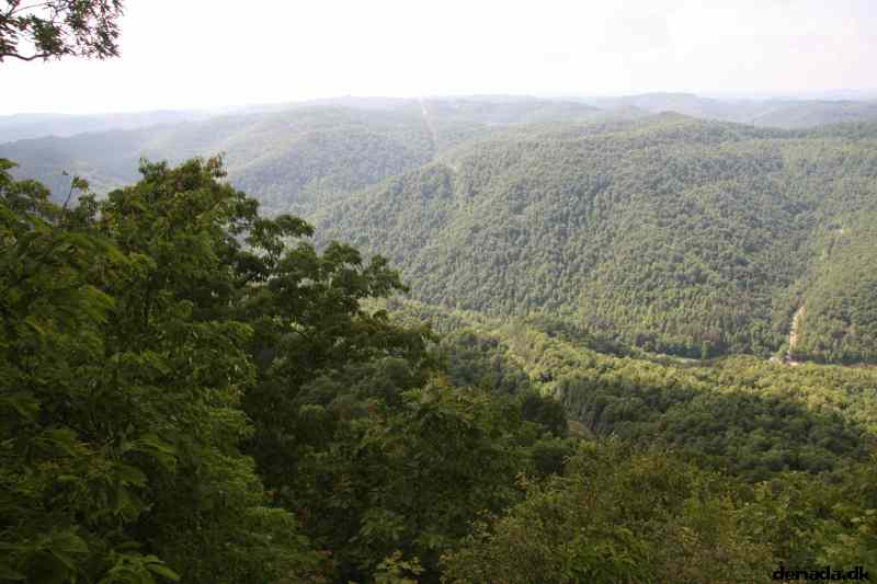 * Image 70