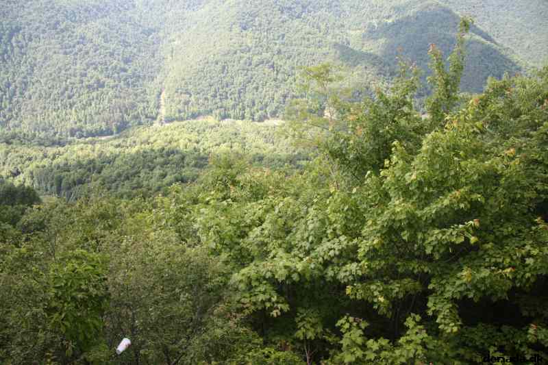 * Image 73