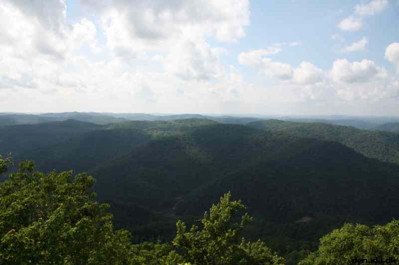 * Image 79