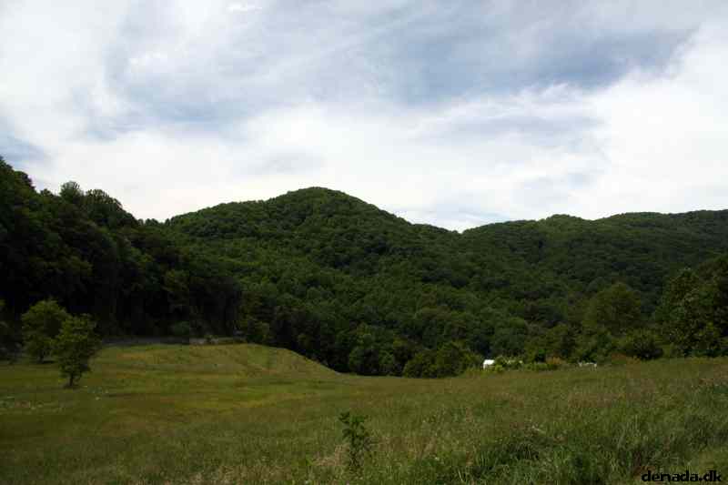 * Image 313