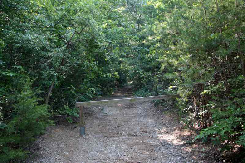 * Image 330