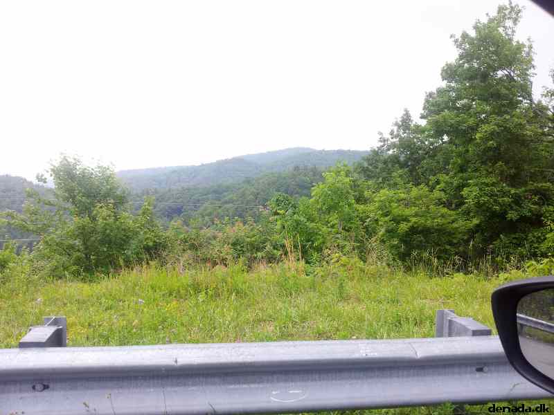 * Image 9