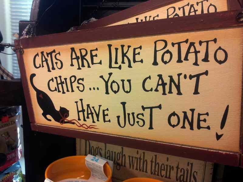 * Image 303