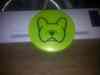 02_Dog_Buzzz.jpg - 