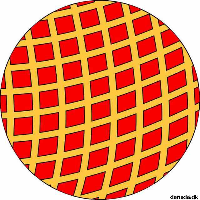 * Image 7