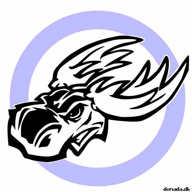 * Image 5