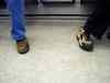 20040727_02.jpg - 2004:07:27 18:08:02