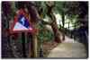 malaysia-signs.jpg - 