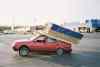 stupid1.jpg - 