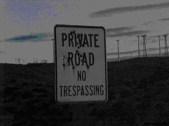 * Image 244