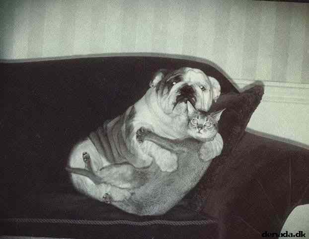 * Image 24