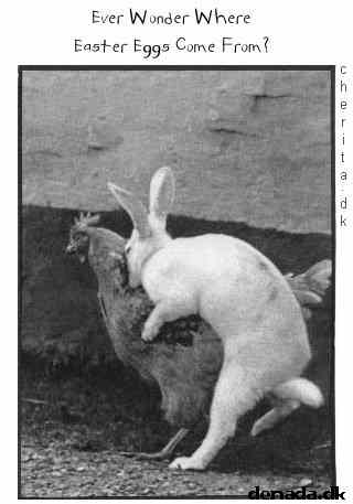 * Image 45