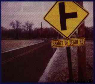 * Image 204