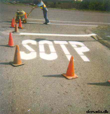 * Image 229