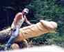TreeDick.jpg - 