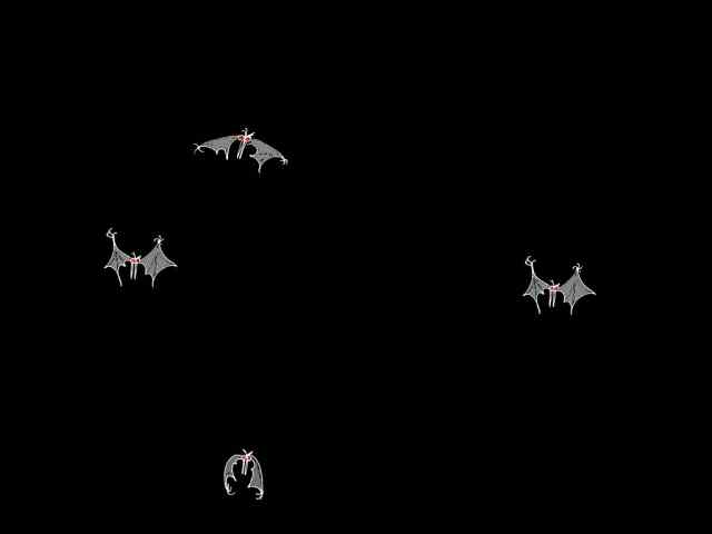 * Image 10