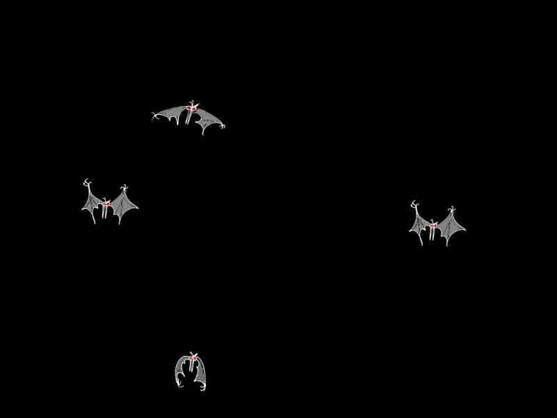 * Image 10
