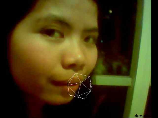 * Image 2