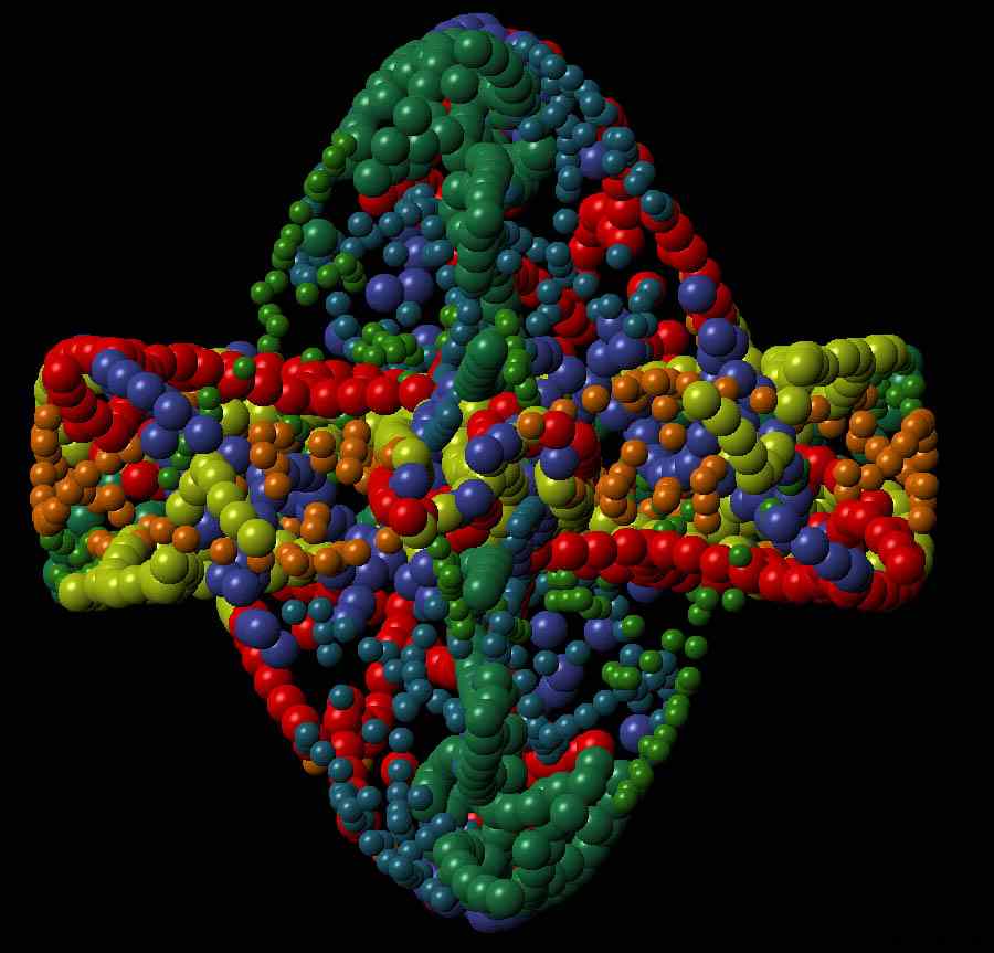 * Image 4