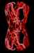 Magic_iris5.jpg - 