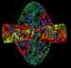 Magic_iris4.jpg - 