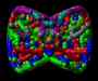 Magic_iris3.jpg - 