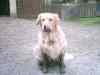 PHTO0058.JPG - 2003:02:21 17:58