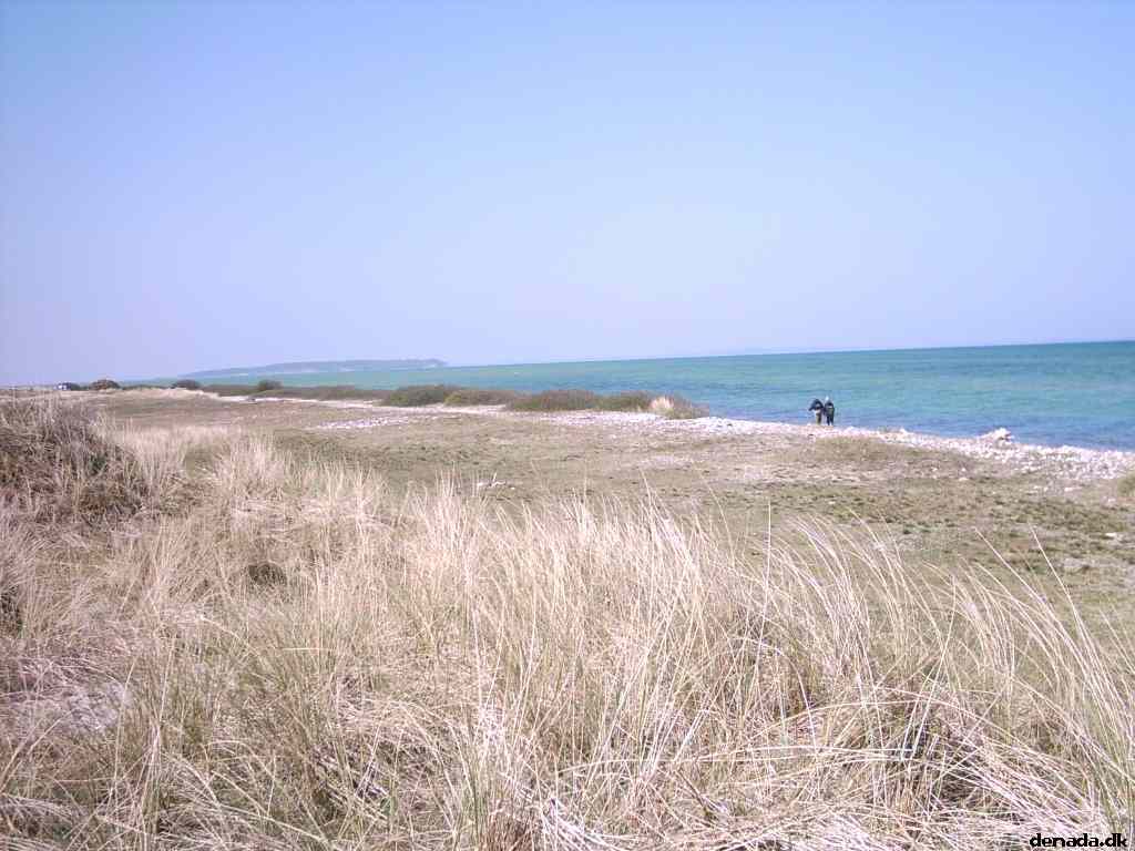 * Image 7