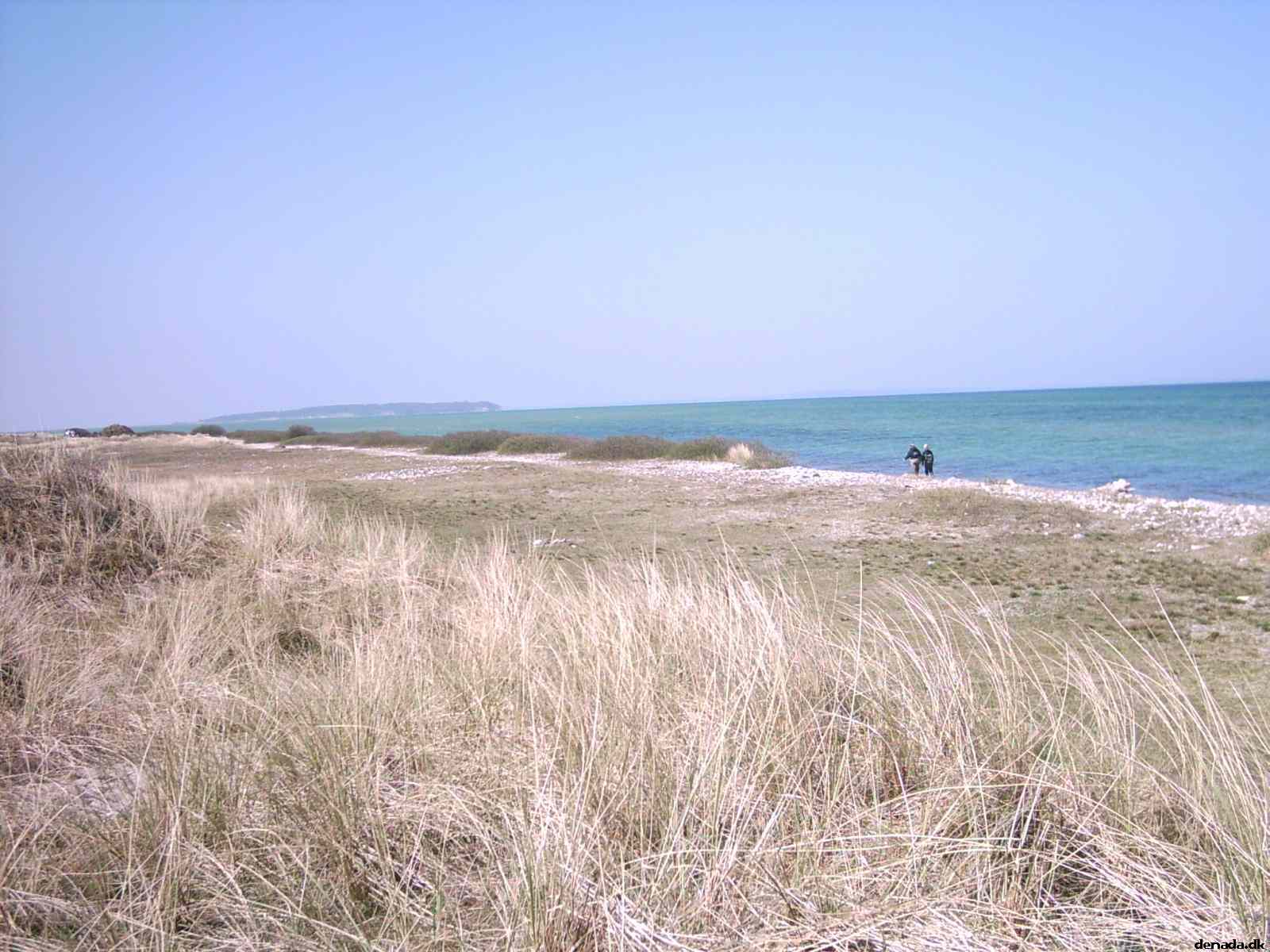 * Image 7